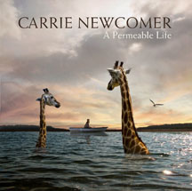Carrie Newcomer